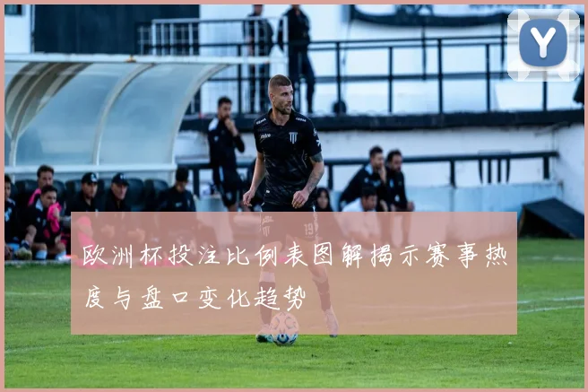 欧洲杯投注比例表图解揭示赛事热度与盘口变化趋势