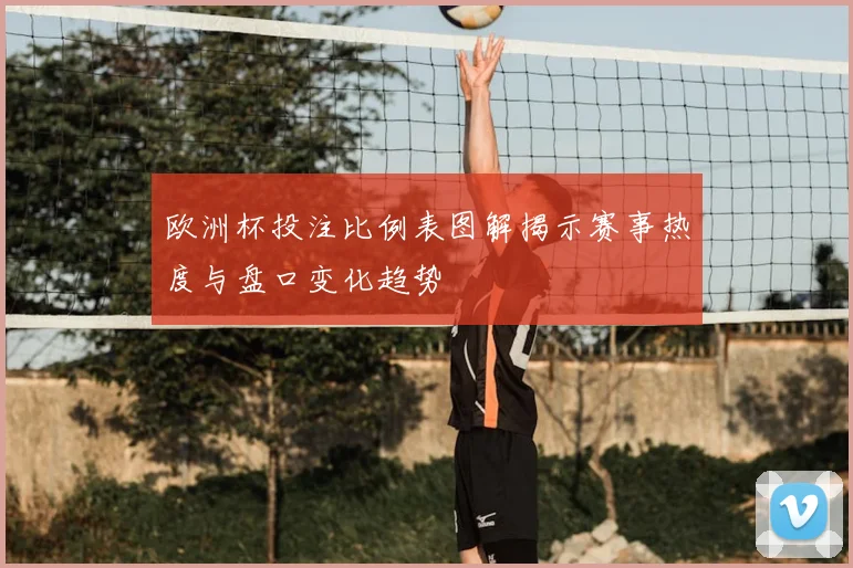 欧洲杯投注比例表图解揭示赛事热度与盘口变化趋势
