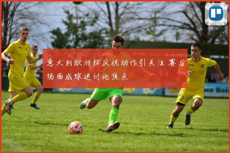 意大利欧洲杯庆祝动作引关注 赛后场面成球迷讨论焦点