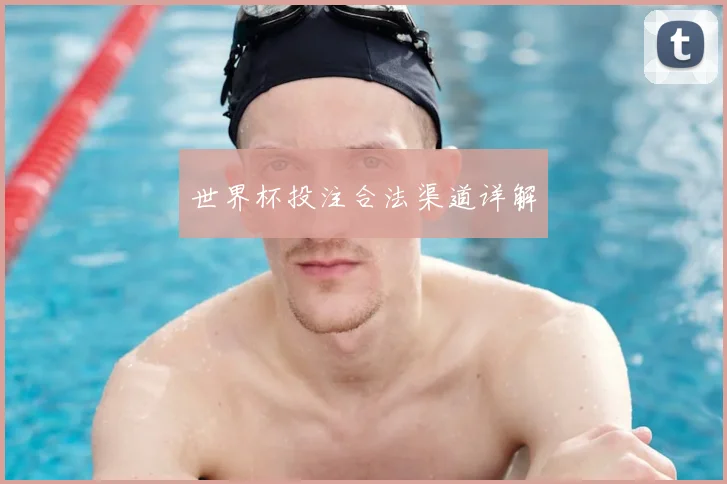 世界杯投注合法渠道详解